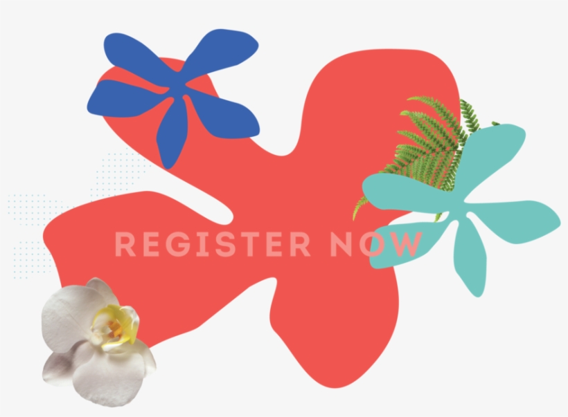 Registernow - Portable Network Graphics, transparent png download