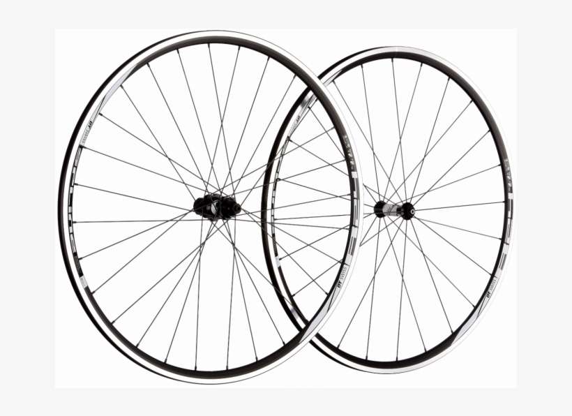 Dt Swiss R24 Spline Road Wheels - Dt Swiss, transparent png download