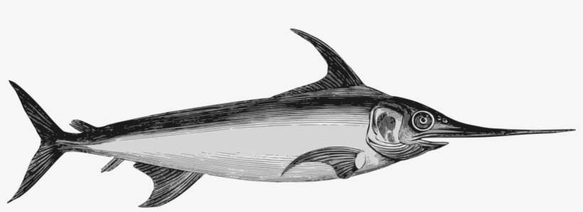 This Free Icons Png Design Of Swordfish 2, transparent png download