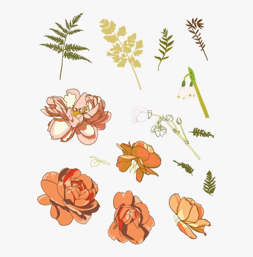 Advanced Illustrator Techniques Workshop - Illustrator, transparent png download