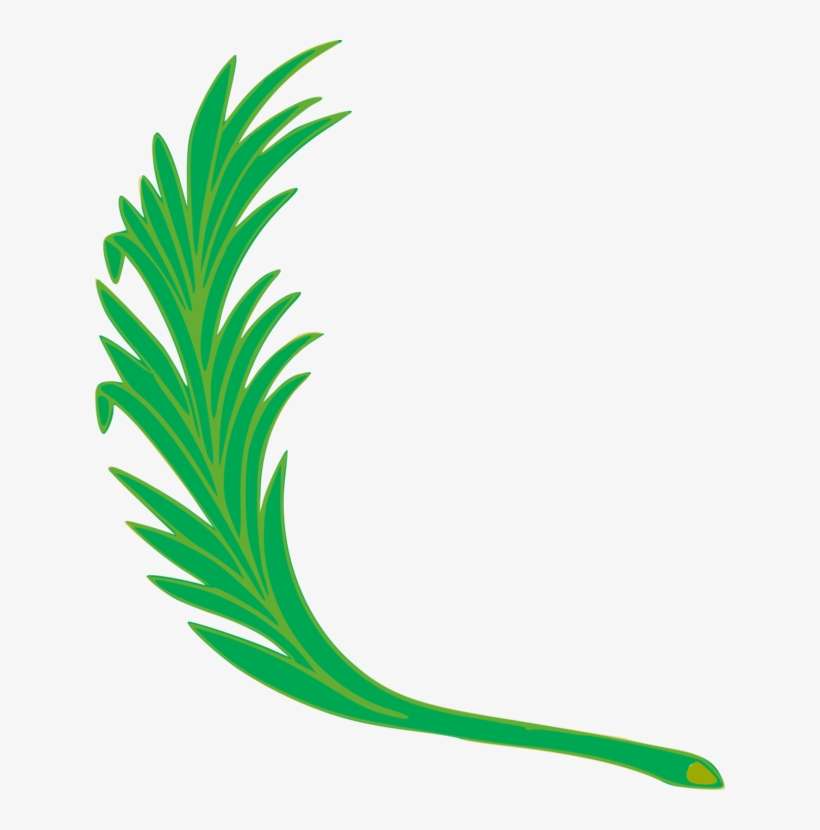 Flag Of Peru Coat Of Arms Of Peru National Symbols - Coat Of Arms Of Peru, transparent png download