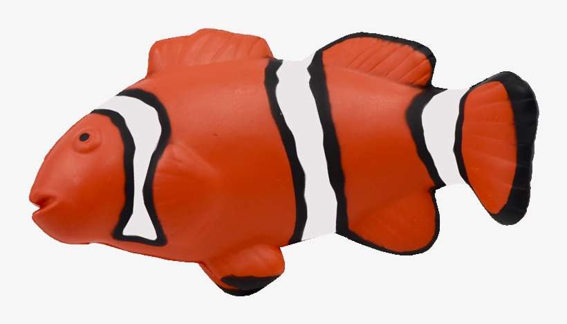 Maf-012 Clown Fish - Coral Reef Fish, transparent png download