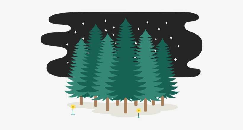 Illuminating A Window Still Stirs Feelings Of Joy And - Christmas Tree, transparent png download