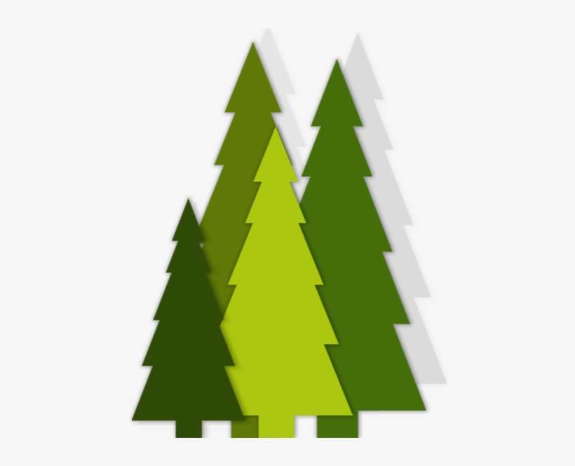 To Experience The Benefits Of Modern General Dentistry - Smile Gallery, transparent png download