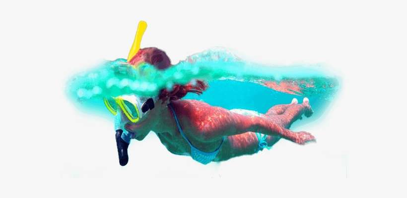 Your Snorkeling Package Excludes Your Snorkeling Equipment - Snorkeling Transparent, transparent png download