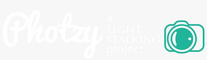 Beach, transparent png download