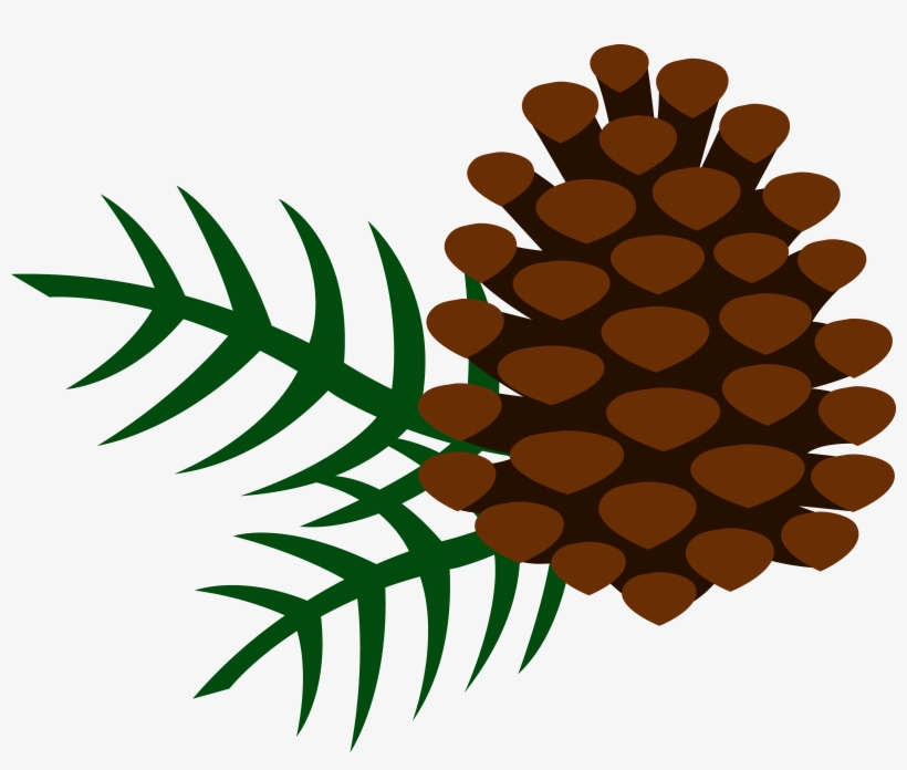 Wilderness Clipart Conifer - Clip Art Pine Cone, transparent png download