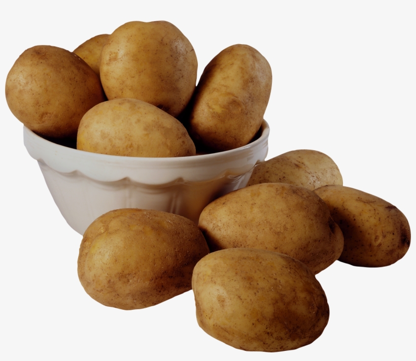 Best Free Potato High Quality Png - Potato Images For Kids, transparent png download