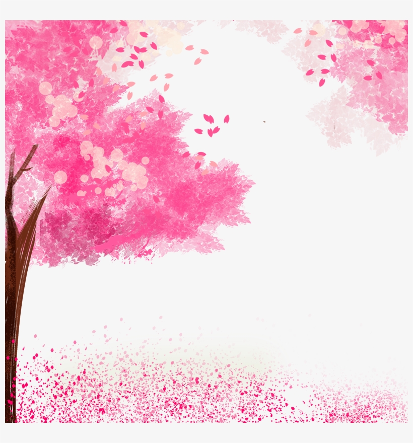 Cherry Tree, Cherry Blossoms, Pink, Pink Cherry Blossoms - Cherry Blossom, transparent png download