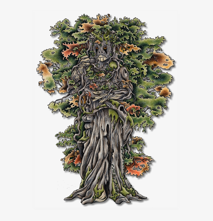 Eika Is The Seventh Troll - White Cedar, transparent png download