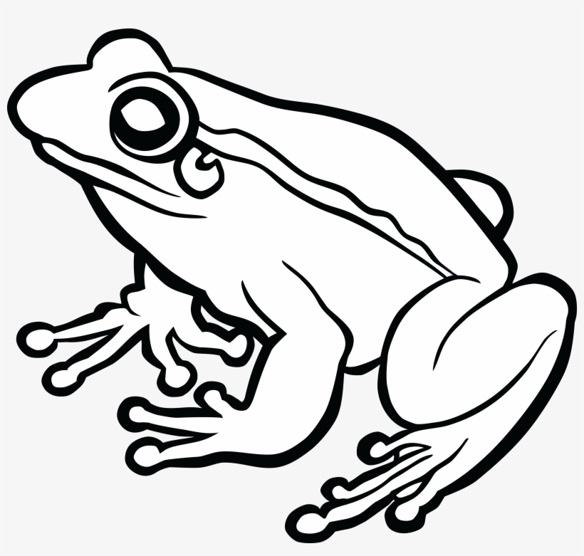 Download Tree Frog Png Black And White Transparent Tree Frog Black