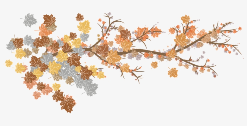 Leaves, Branches, Autumn, Nature, Plant - Branches Autumn Leaves Png, transparent png download