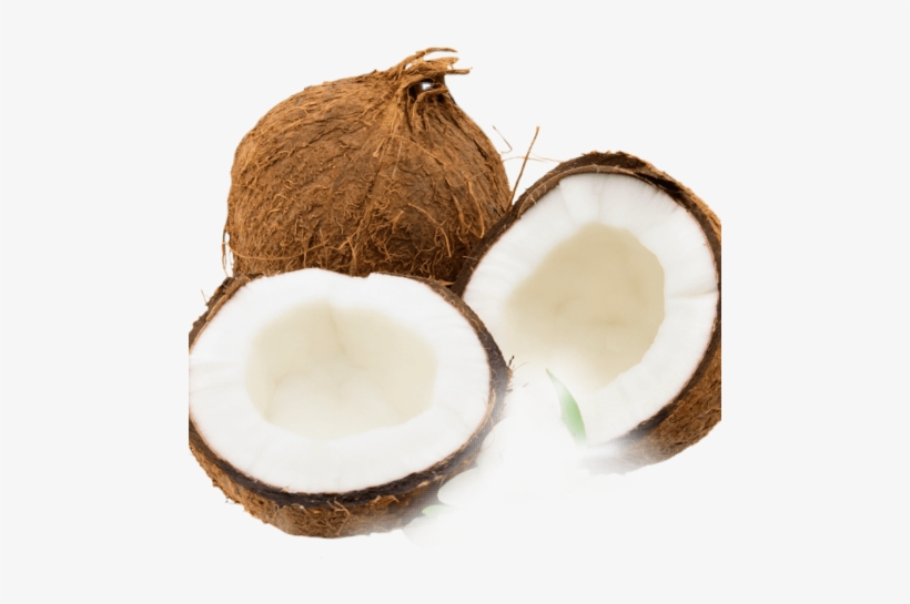 Coconuts Png, transparent png download