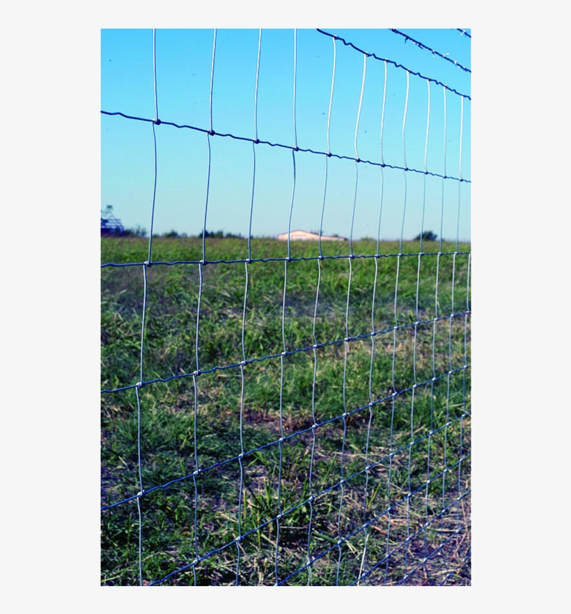 Oklahoma Steel And Wire Field Fence Oklahoma Steel & Wire 12 1/2