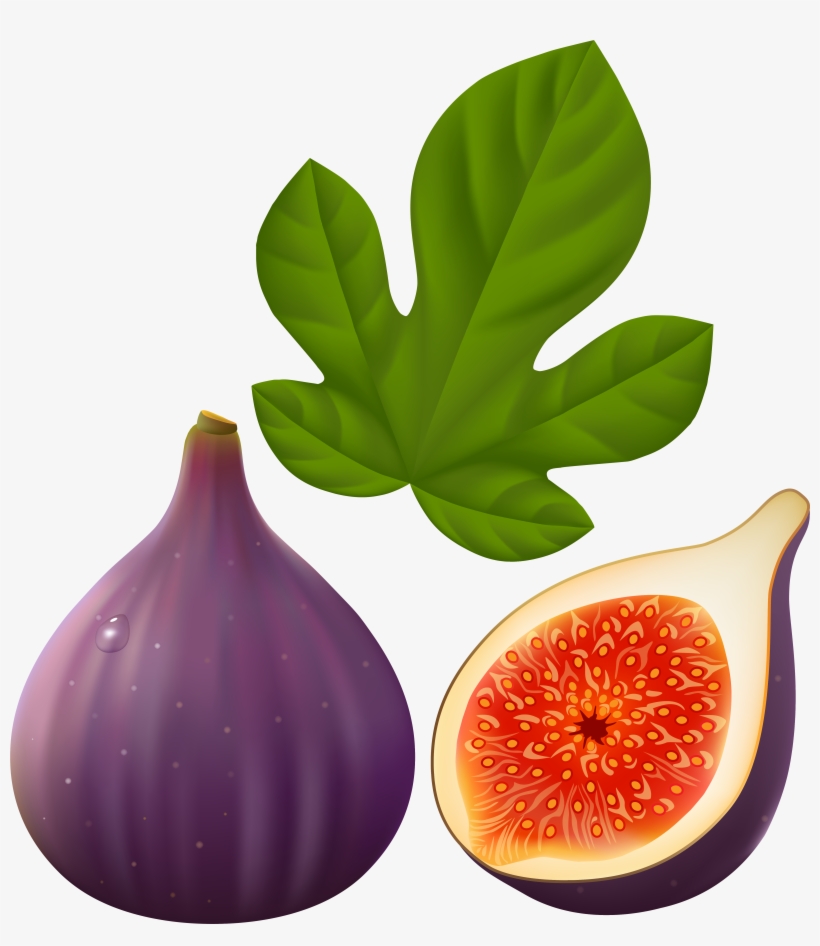 Clipart Freeuse Library F A Orig Owoce Pinterest Figs - Clip Art Of Fig, transparent png download