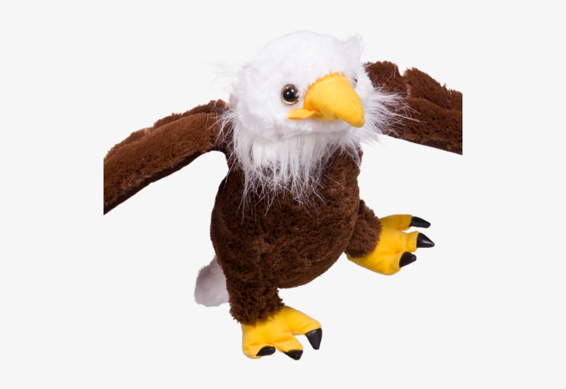 Party, transparent png download