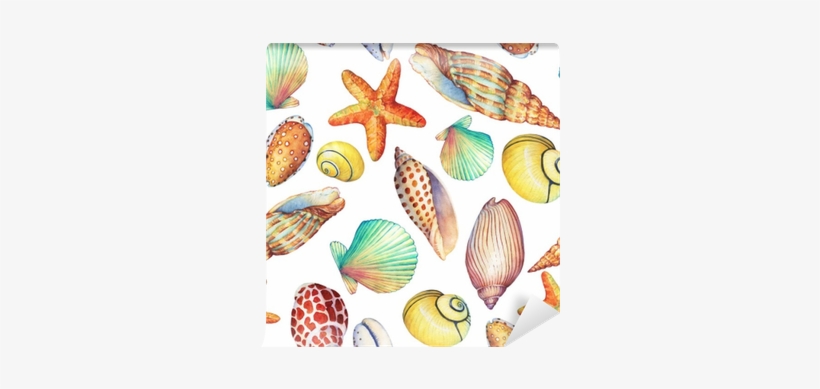 Seamless Pattern With Underwater Life Objects, Isolated - Illustration, transparent png download