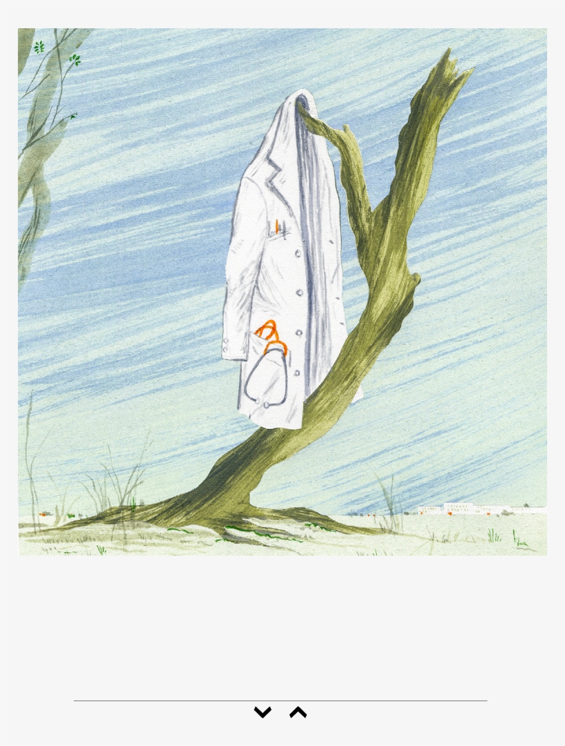 Slide Show Overlay - Physician, transparent png download