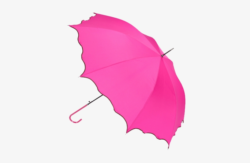 Share This Image - Photography, transparent png download