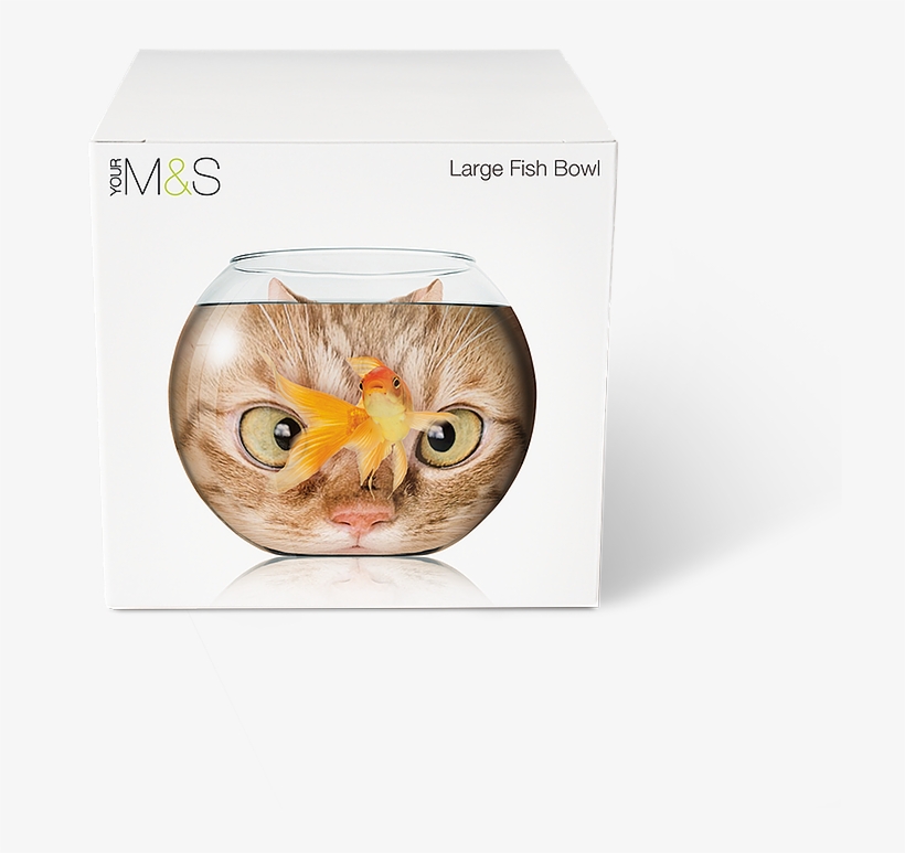 Paul Skeffington Senior Art Director - Kitten, transparent png download