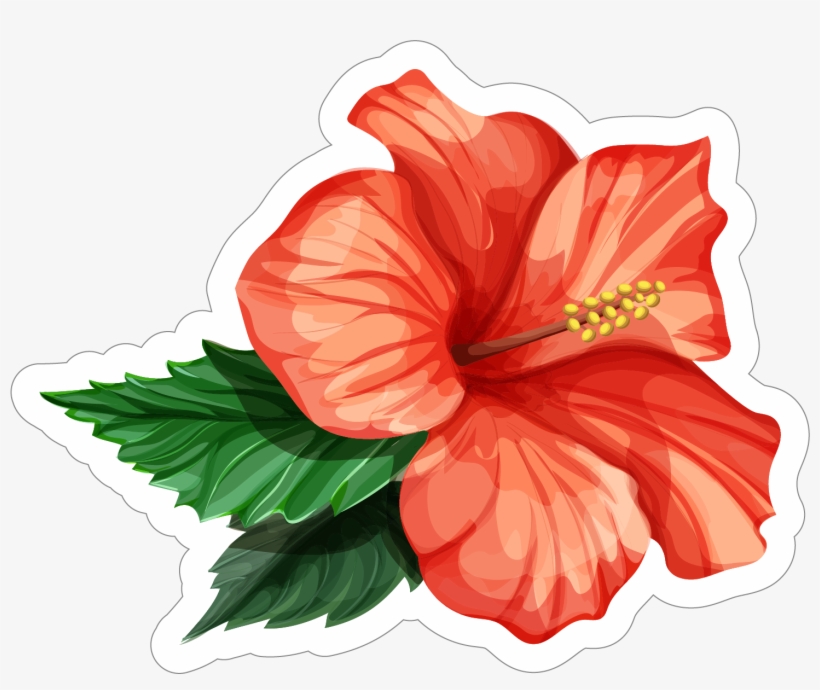 Hibiscus Flower Blue, transparent png download