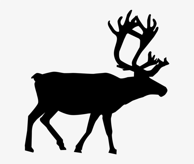 Reindeer Animal Silhouettes Drawing - Silhouette Of A Reindeer, transparent png download