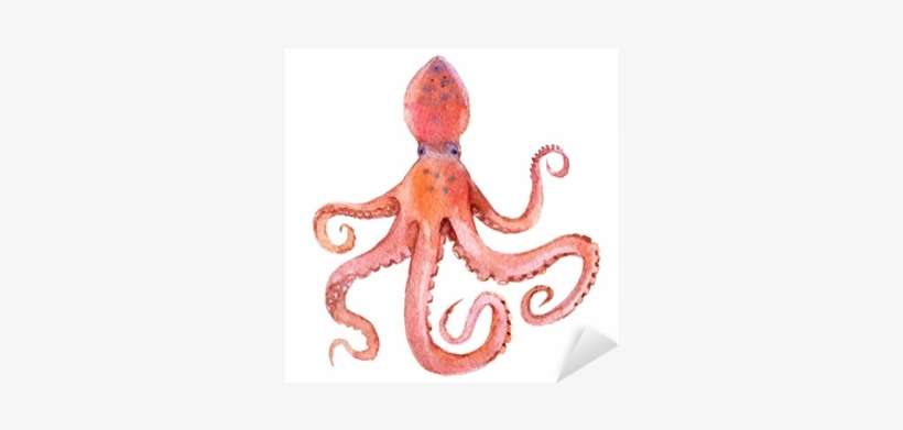 Octopus Isolated On White Background, Watercolor Illustration - Watercolor Painting, transparent png download