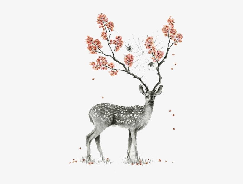 Afbeeldingsresultaat Voor Tumblr Drawing Deer - Drawing Deer, transparent png download