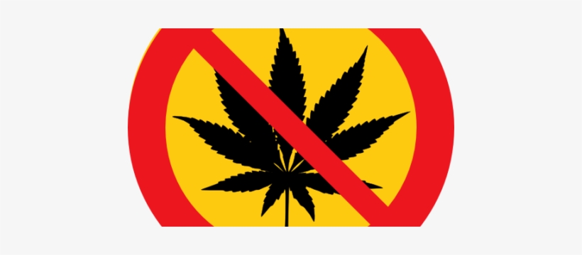 No Marijuana - Weed Black And White, transparent png download