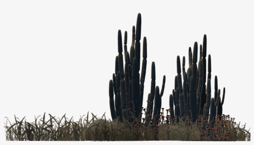 Desert Bushes Png - Desert Cactus Png, transparent png download