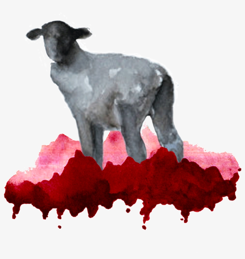 0 Replies 1 Retweet 2 Likes - Sheep, transparent png download