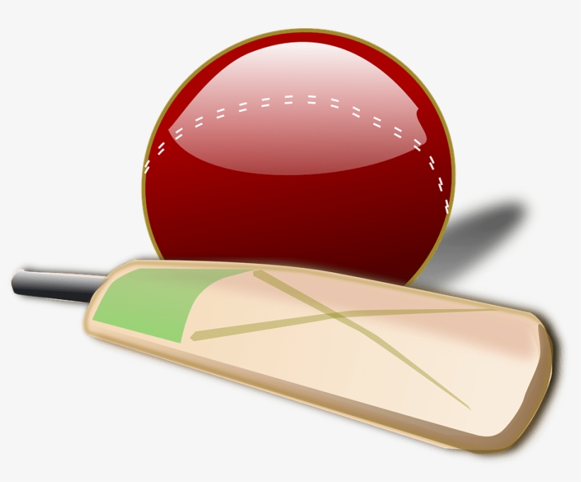 Cricket Bat Png Large - Cricket Png, transparent png download