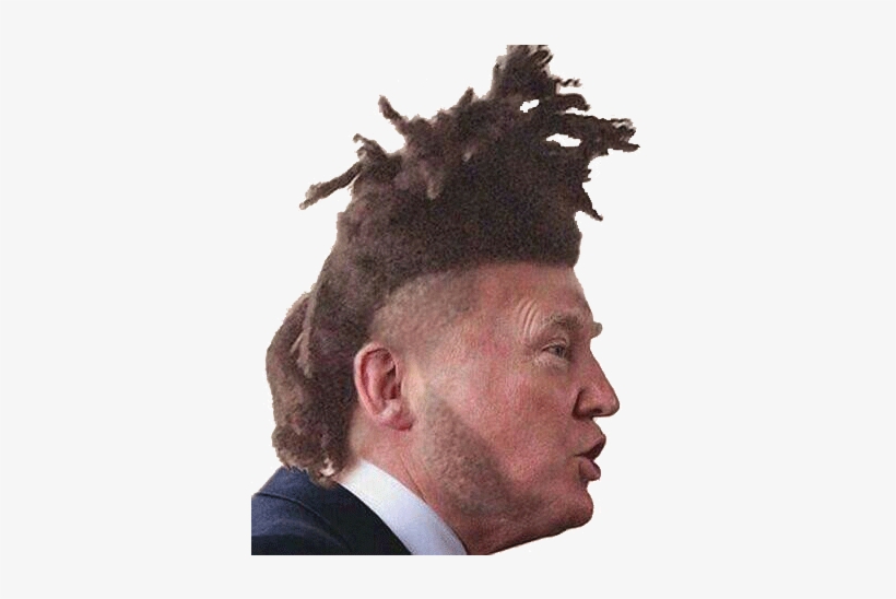 Pnget - Trump With An Afro, transparent png download