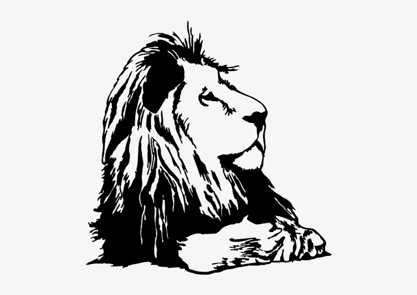 Bulletin Board - Masai Lion, transparent png download