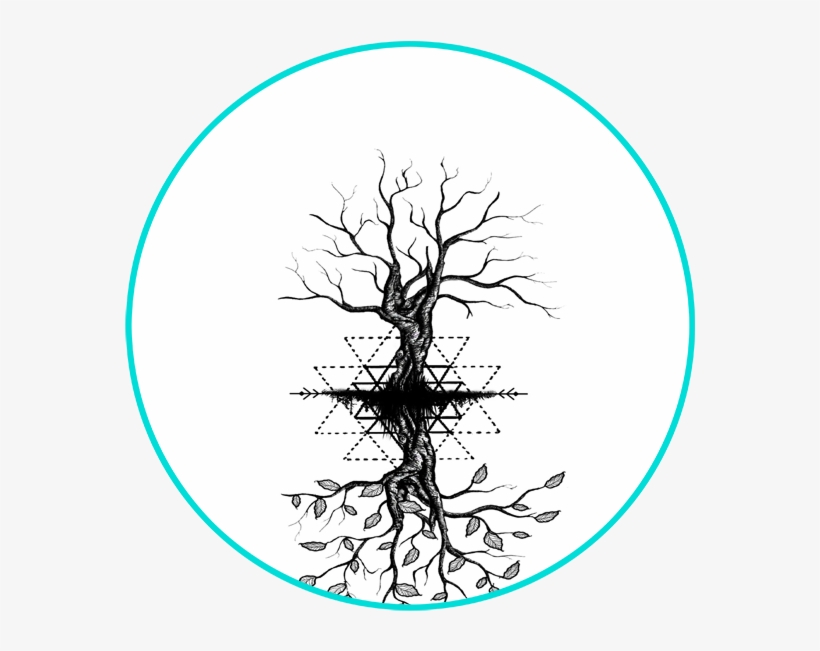 Branches Drawing Mercy - Drawing, transparent png download