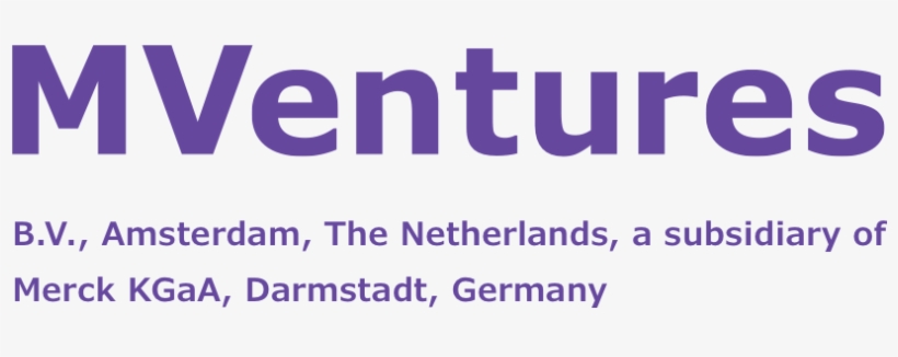 Merck Ventures - Blues Scale Guitar, transparent png download