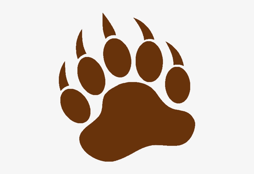 Content On This Page Requires A Newer Version Of Adobe - Bear Paw Vector, transparent png download