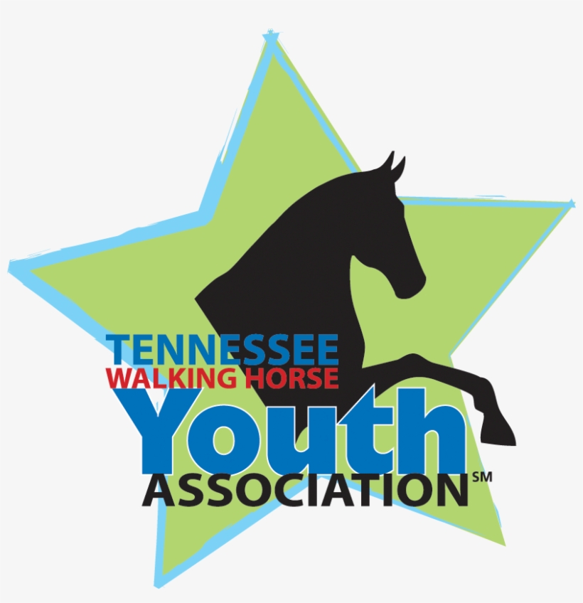 Twhya Welcome - Stallion, transparent png download