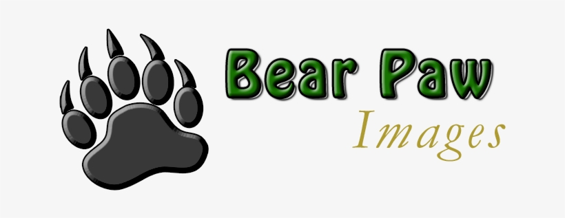 A Premier Portrait Photographer In Broomfield - Taming The Wild Yeast, transparent png download