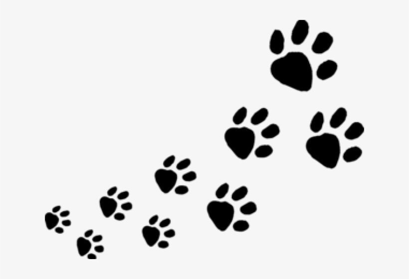 Dog Footprints Clipart, transparent png download