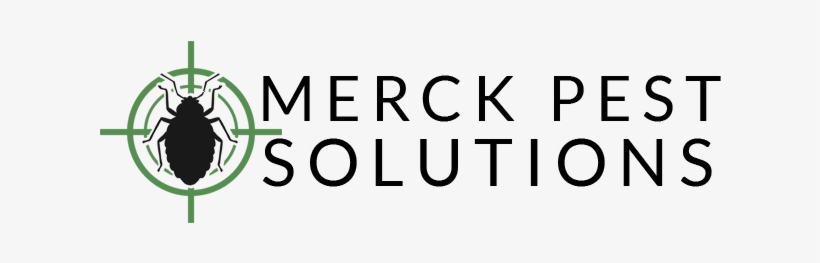 Call - Hull, transparent png download