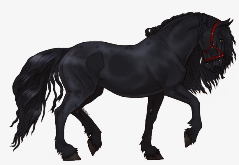 Ｎａｍｅ ；； Wherever You Go, I Go "mikasa Acherman" Ｂｒｅｅｄ - Grullo Color Through Age, transparent png download