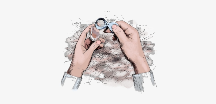 1 - Binoculars - Sketch, transparent png download