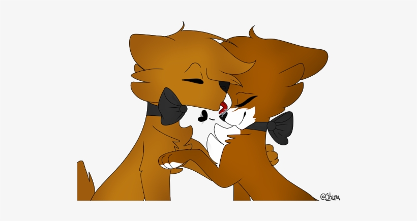 Photo - Photograph, transparent png download