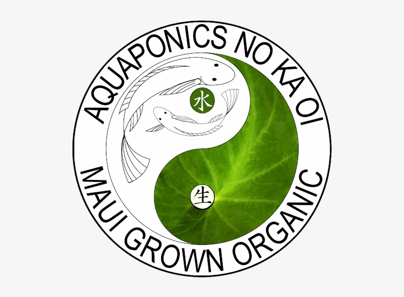 Photo - Circle, transparent png download