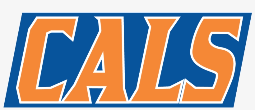 Redbubble Shop, transparent png download