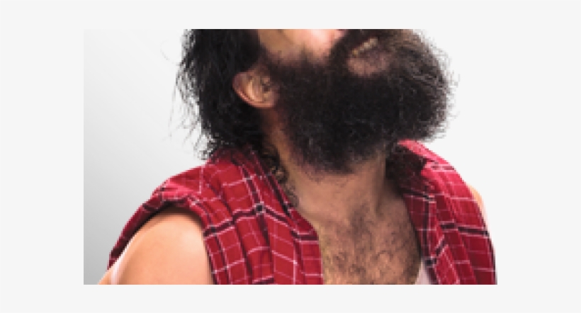Wwe Luke Harper Memes - Luke Harper Wwe, transparent png download