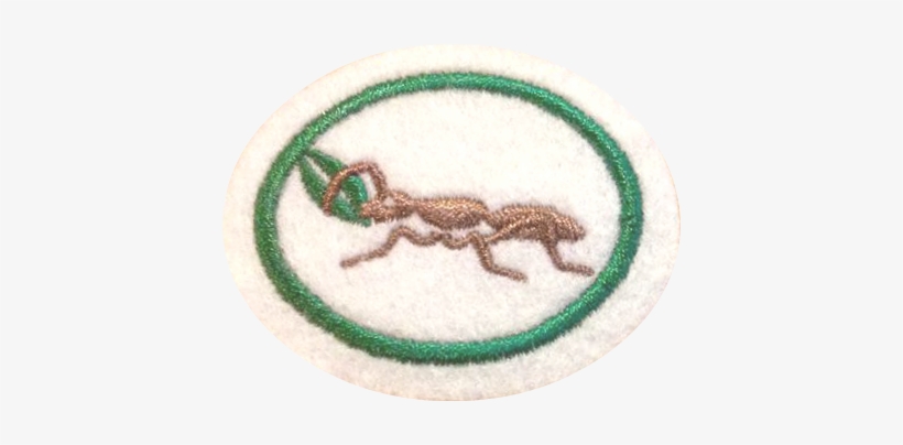 Ants - Emblem, transparent png download