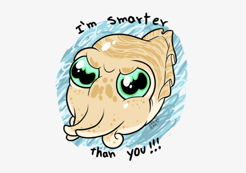 Photo - Squid As Food, transparent png download