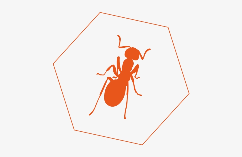 Ant Control - Ant, transparent png download